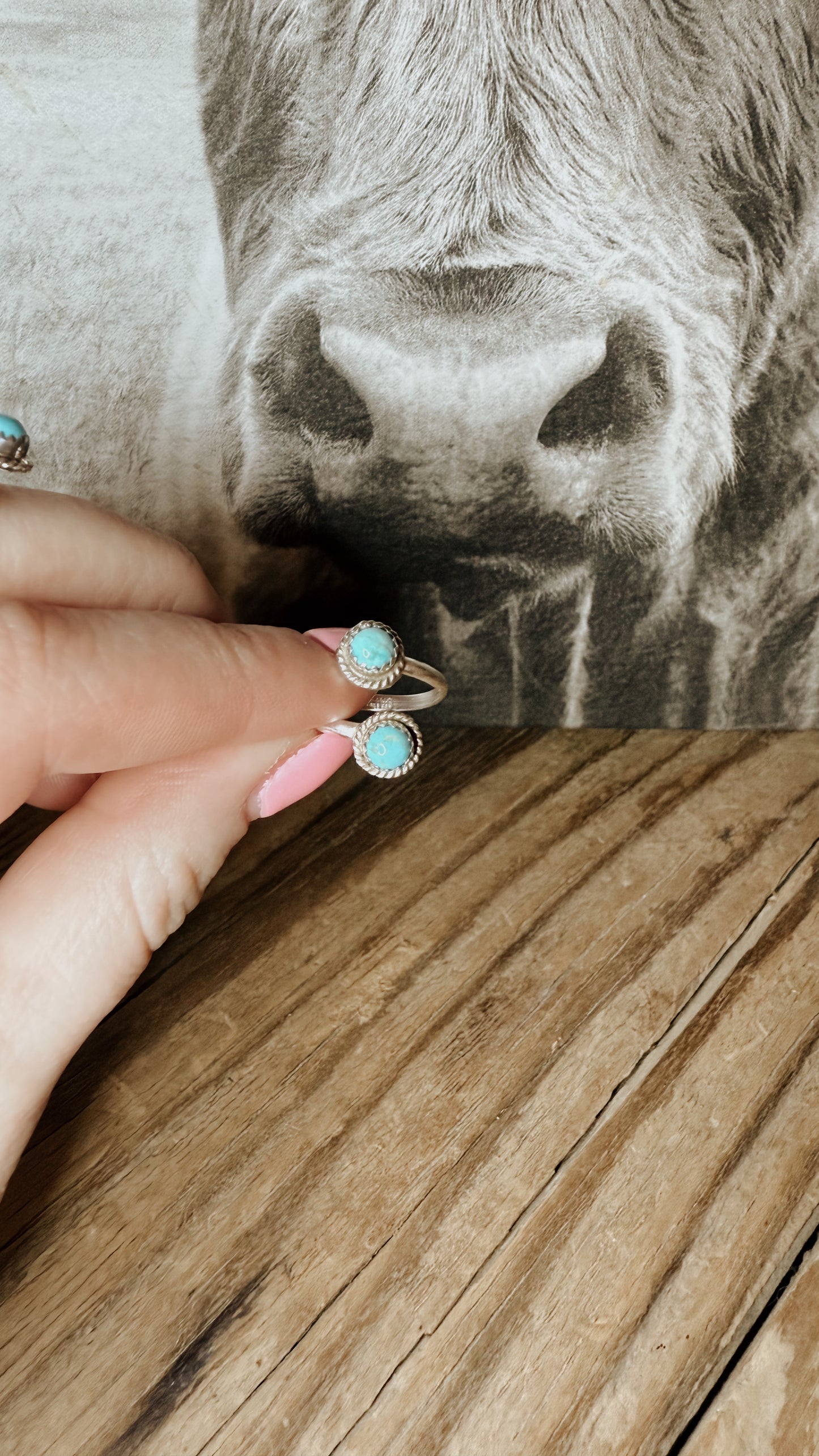 Turquoise 2 Stone Adjustable Ring
