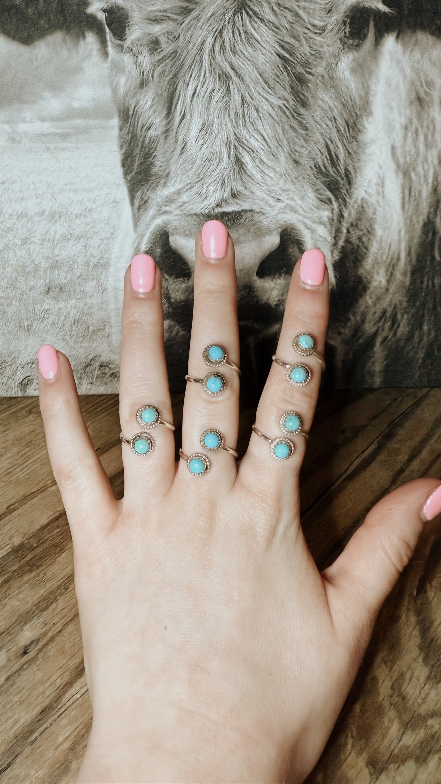 Turquoise 2 Stone Adjustable Ring